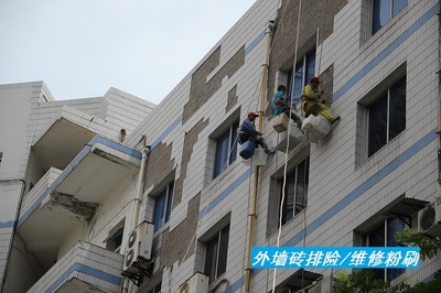 高空外墙维修图片-陈家坪高空外墙维修- 洁万家高空蜘蛛人